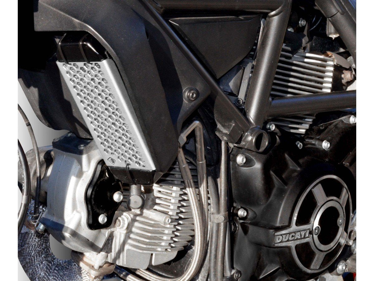 GR03 - DUCABIKE Ducati Scrambler 800 (15/22) Radiator Guard – Accessories in the Motoraider Motorcycle Aftermarket Accessories and Parts Online Shop