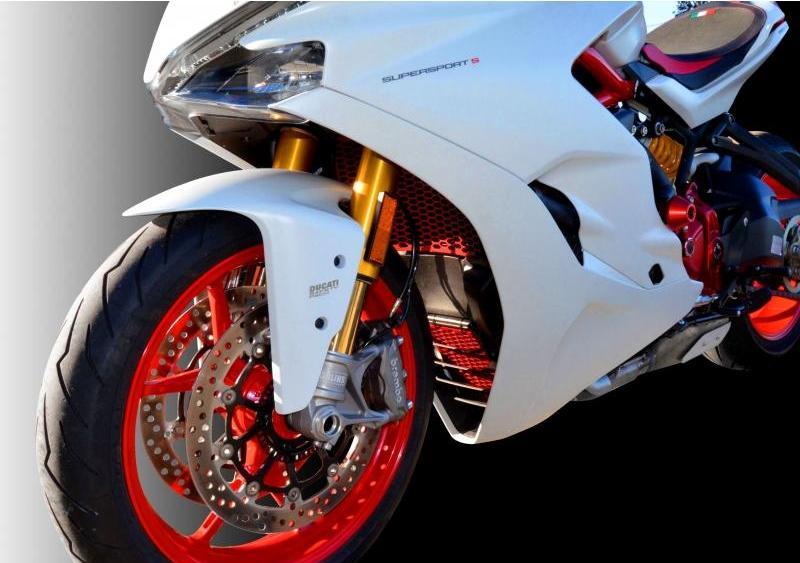 GR05 - DUCABIKE Ducati Radiator Guard – Accessories in the Motoraider Motorcycle Aftermarket Accessories and Parts Online Shop