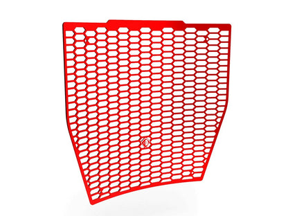 GR09 - DUCABIKE Ducati Streetfighter V4 (2020+) Radiator Guard – Accessories in the Motoraider Motorcycle Aftermarket Accessories and Parts Online Shop