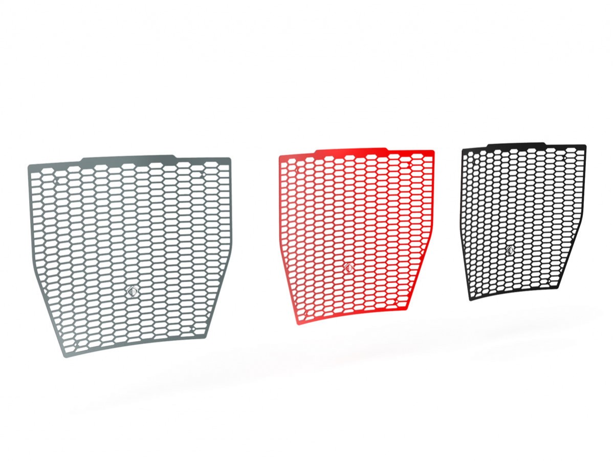 GR09 - DUCABIKE Ducati Streetfighter V4 (2020+) Radiator Guard – Accessories in the Motoraider Motorcycle Aftermarket Accessories and Parts Online Shop