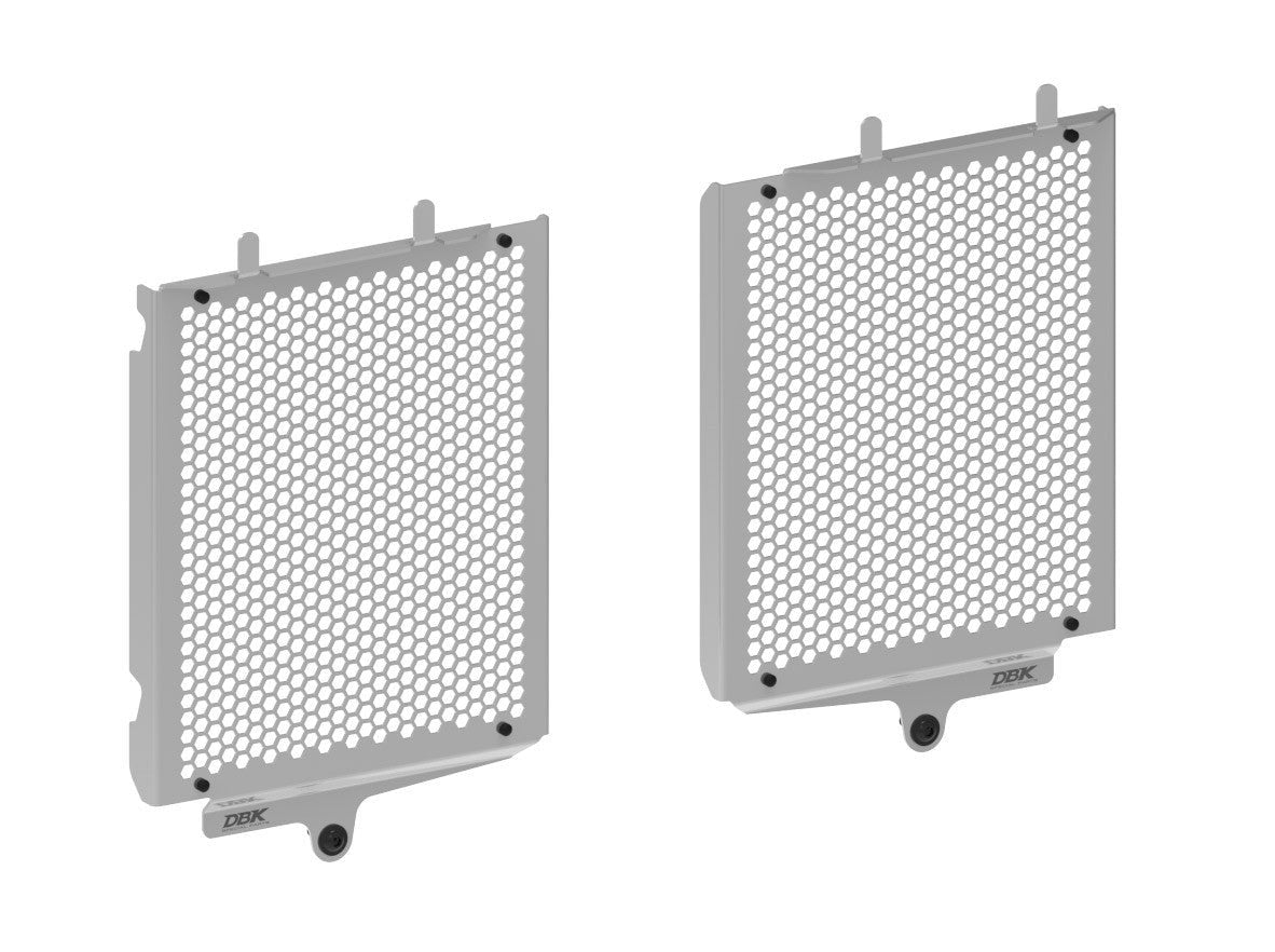 GR21 - DUCABIKE BMW R1300GS (2024+) Water Radiator Guard – Accessories in the Motoraider Motorcycle Aftermarket Accessories and Parts Online Shop