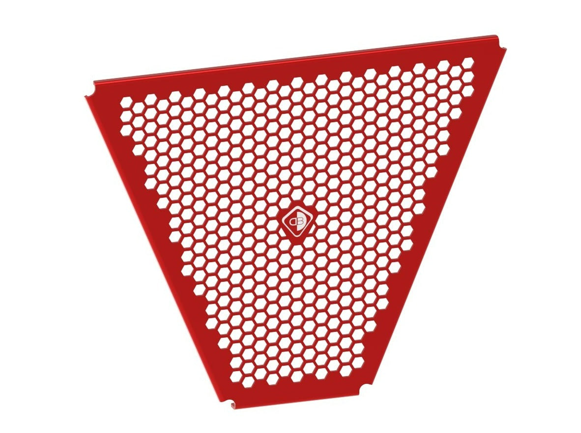 GR22 - DUCABIKE Ducati Panigale V4 / Streetfighter V4 Oil Radiator Guard – Accessories in the Motoraider Motorcycle Aftermarket Accessories and Parts Online Shop