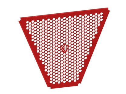 GR22 - DUCABIKE Ducati Panigale V4 / Streetfighter V4 Oil Radiator Guard – Accessories in the Motoraider Motorcycle Aftermarket Accessories and Parts Online Shop