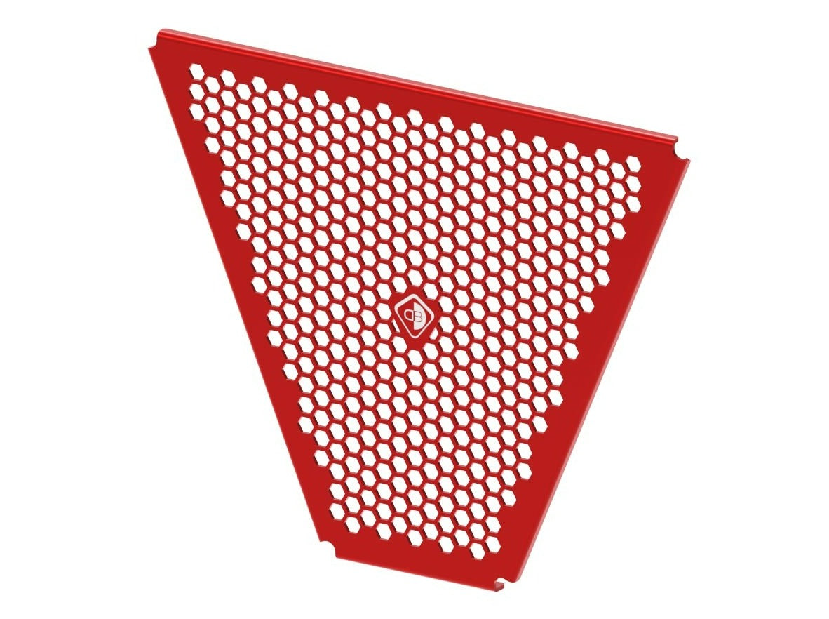 GR22 - DUCABIKE Ducati Panigale V4 / Streetfighter V4 Oil Radiator Guard – Accessories in the Motoraider Motorcycle Aftermarket Accessories and Parts Online Shop