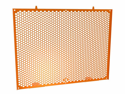 GR25 - DUCABIKE KTM 990 Duke / R (2024+) Radiator Protection – Accessories in the Motoraider Motorcycle Aftermarket Accessories and Parts Online Shop