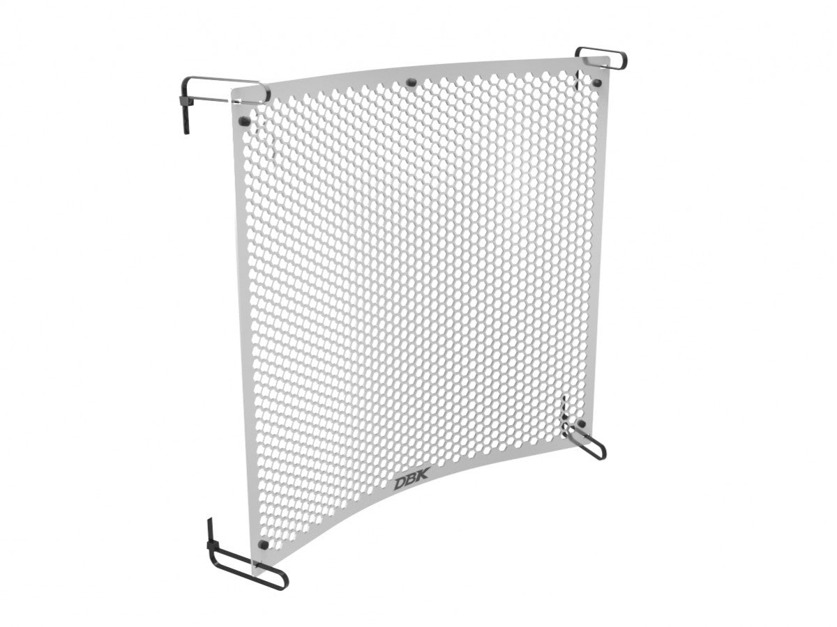 DBK DUCABIKE GR30 Triumph 765 (2023+) Radiator Guard – Accessories in the Motoraider Motorcycle Aftermarket Accessories and Parts Online Shop