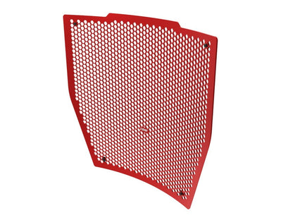 DBK DUCABIKE GR33 Ducati Streetfighter V4 / V4S (20/24) Radiator Guard – Accessories in the Motoraider Motorcycle Aftermarket Accessories and Parts Online Shop