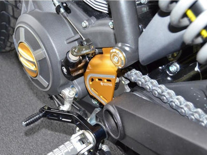 RPLC12 - DUCABIKE Ducati Scrambler / Monster 797 Shift Lever – Accessories in the Motoraider Motorcycle Aftermarket Accessories and Parts Online Shop