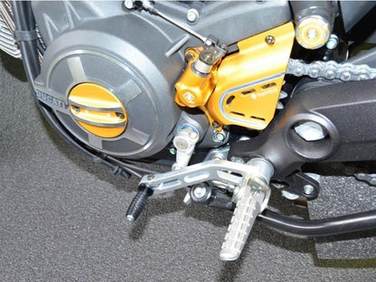 RPLC12 - DUCABIKE Ducati Scrambler / Monster 797 Shift Lever – Accessories in the Motoraider Motorcycle Aftermarket Accessories and Parts Online Shop