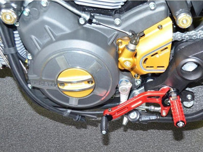 RPLC12 - DUCABIKE Ducati Scrambler / Monster 797 Shift Lever – Accessories in the Motoraider Motorcycle Aftermarket Accessories and Parts Online Shop