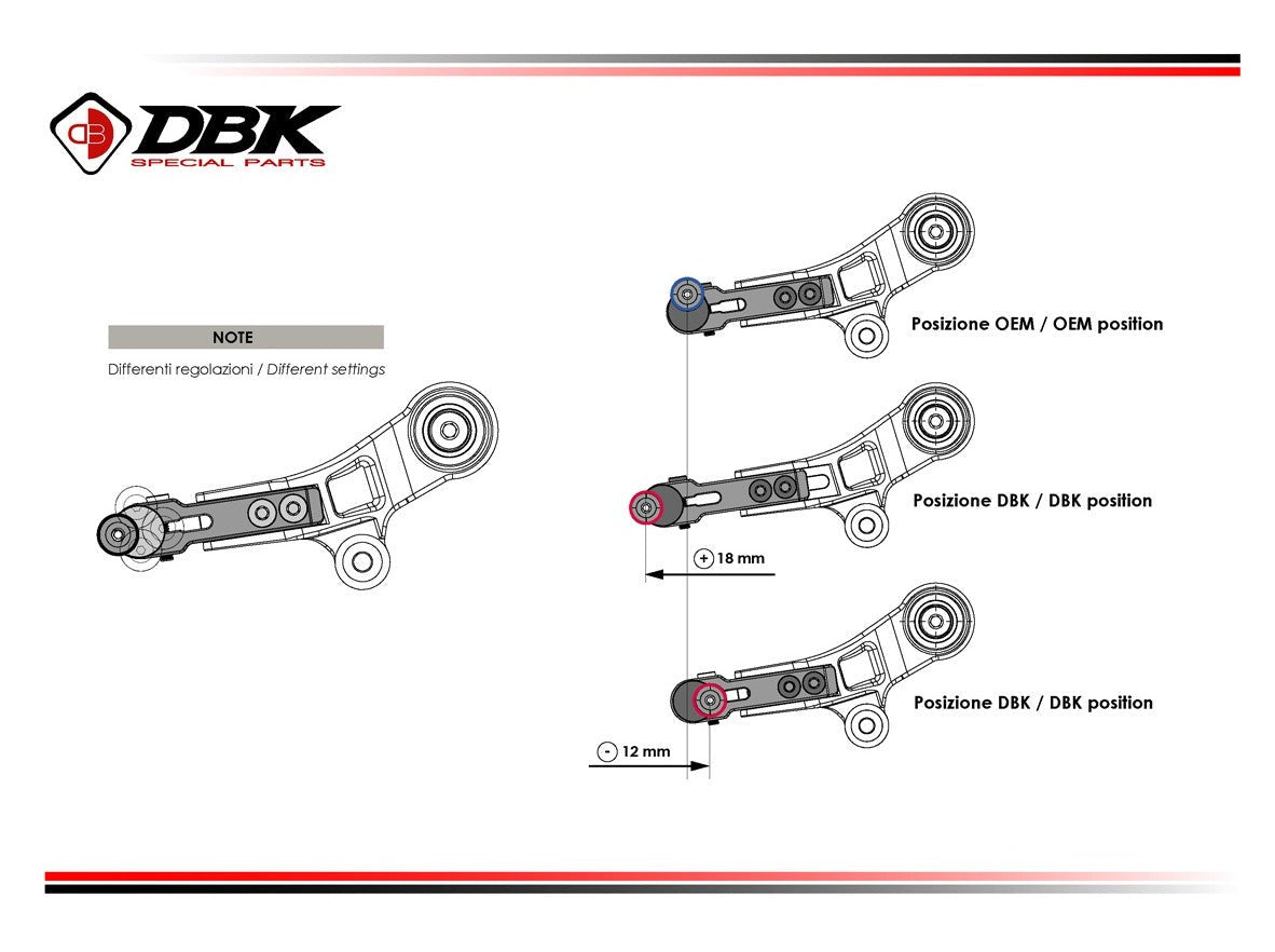 RPLC30 - DUCABIKE BMW R1300GS (2024+) Adjustable Gear Lever – Accessories in the Motoraider Motorcycle Aftermarket Accessories and Parts Online Shop