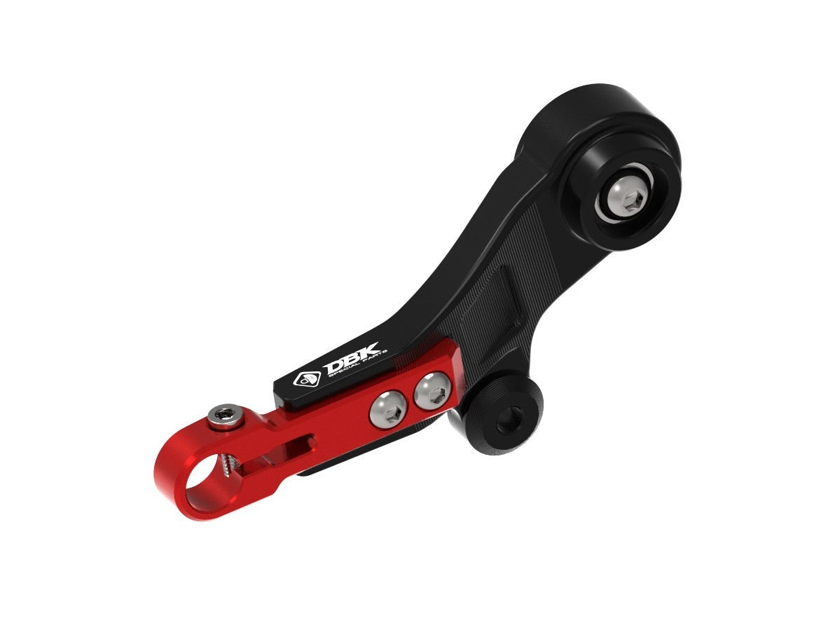 RPLC30 - DUCABIKE BMW R1300GS (2024+) Adjustable Gear Lever – Accessories in the Motoraider Motorcycle Aftermarket Accessories and Parts Online Shop