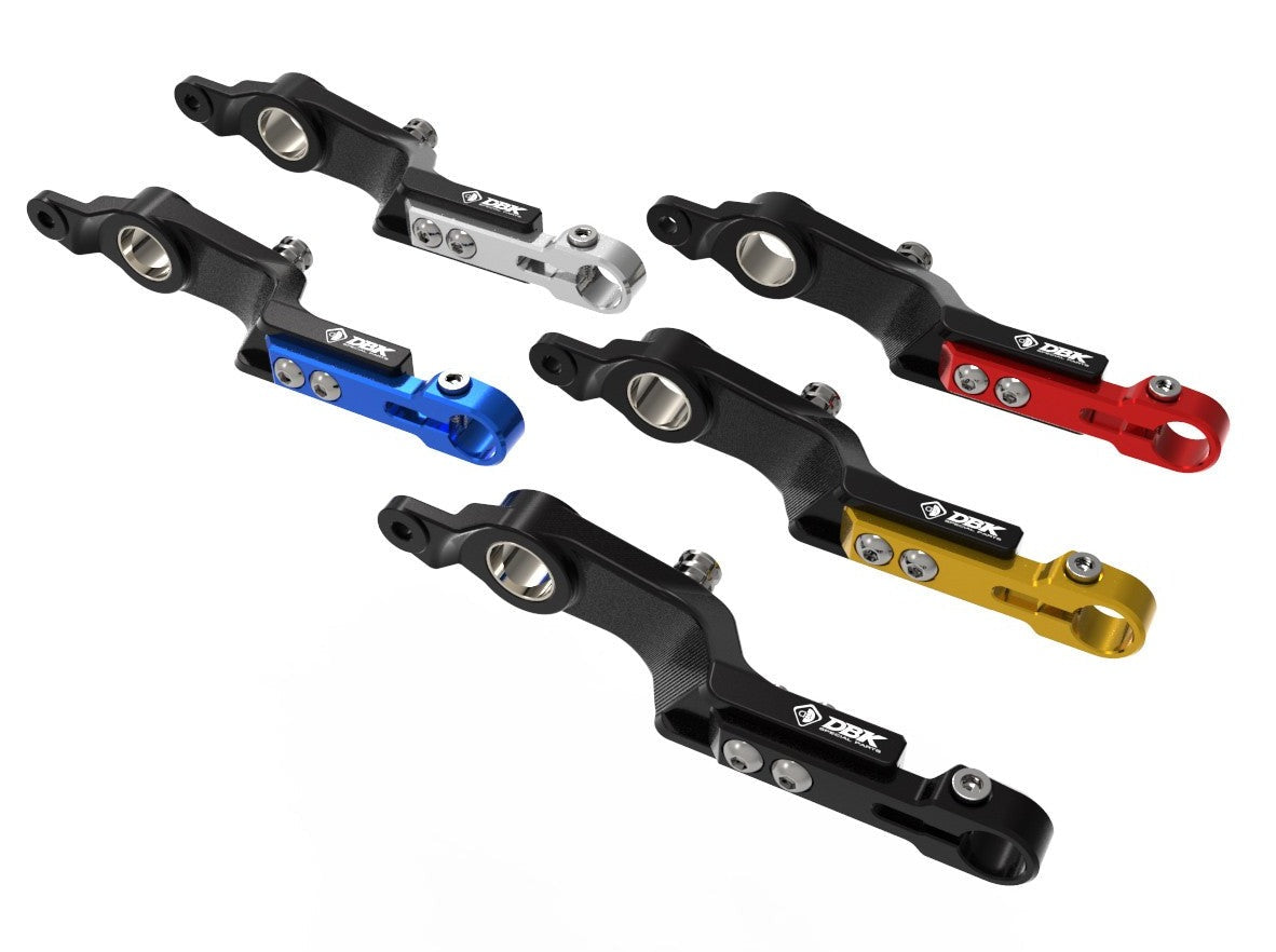 RPLF26 - DUCABIKE BMW R1300GS (2024+) Adjustable Brake Control Lever – Accessories in the Motoraider Motorcycle Aftermarket Accessories and Parts Online Shop