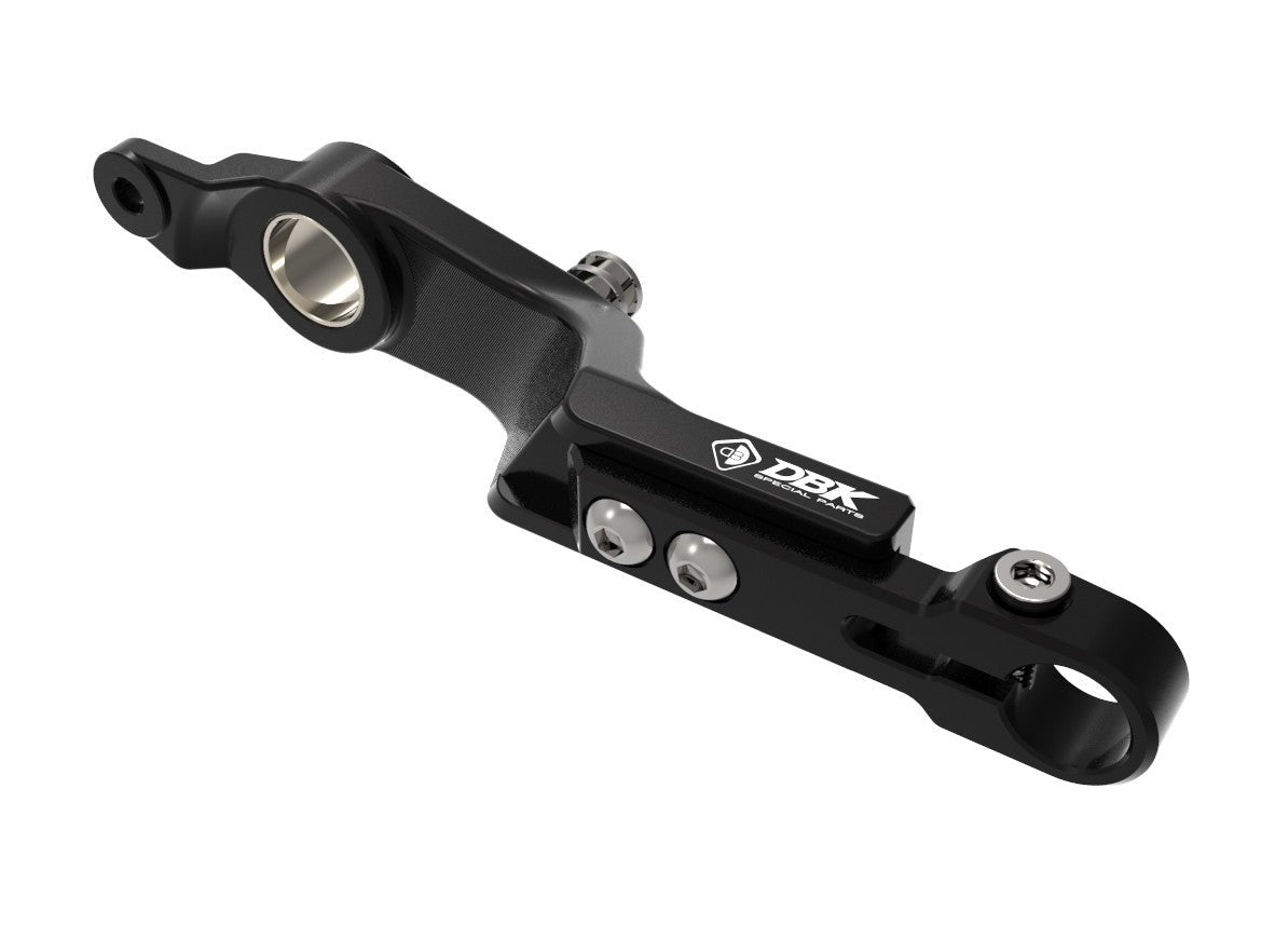 RPLF26 - DUCABIKE BMW R1300GS (2024+) Adjustable Brake Control Lever – Accessories in the Motoraider Motorcycle Aftermarket Accessories and Parts Online Shop