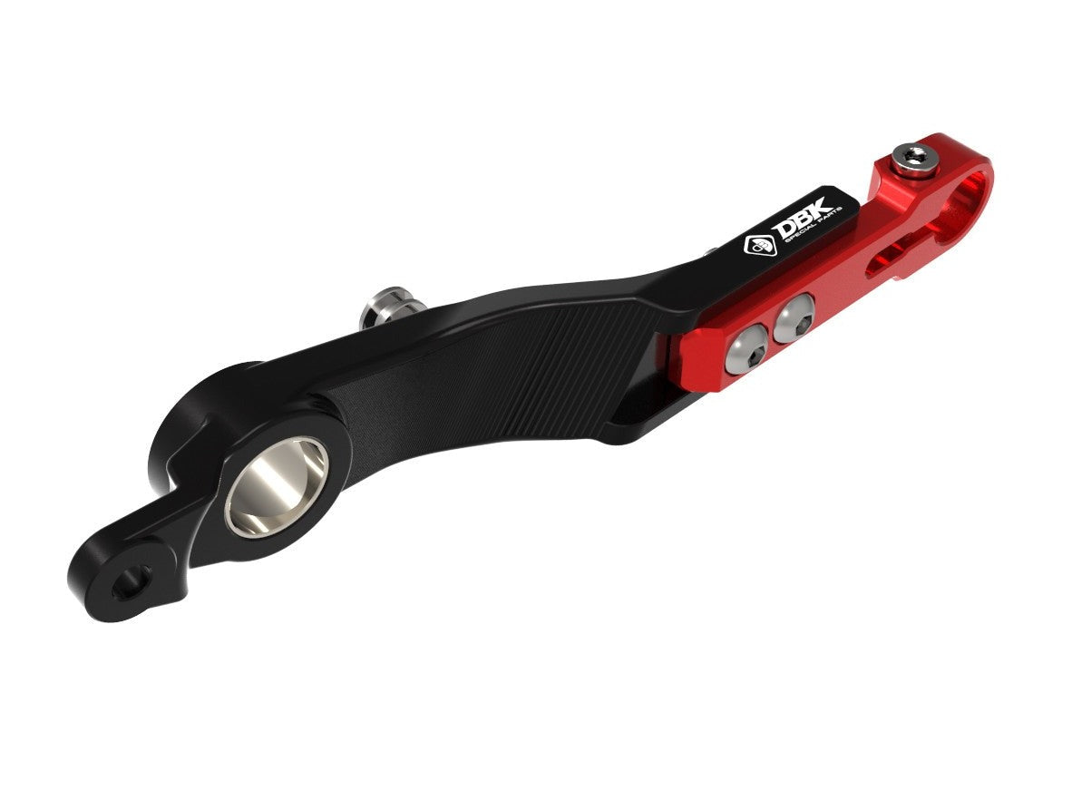 RPLF26 - DUCABIKE BMW R1300GS (2024+) Adjustable Brake Control Lever – Accessories in the Motoraider Motorcycle Aftermarket Accessories and Parts Online Shop