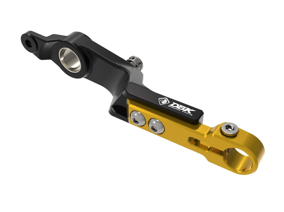 RPLF26 - DUCABIKE BMW R1300GS (2024+) Adjustable Brake Control Lever – Accessories in the Motoraider Motorcycle Aftermarket Accessories and Parts Online Shop