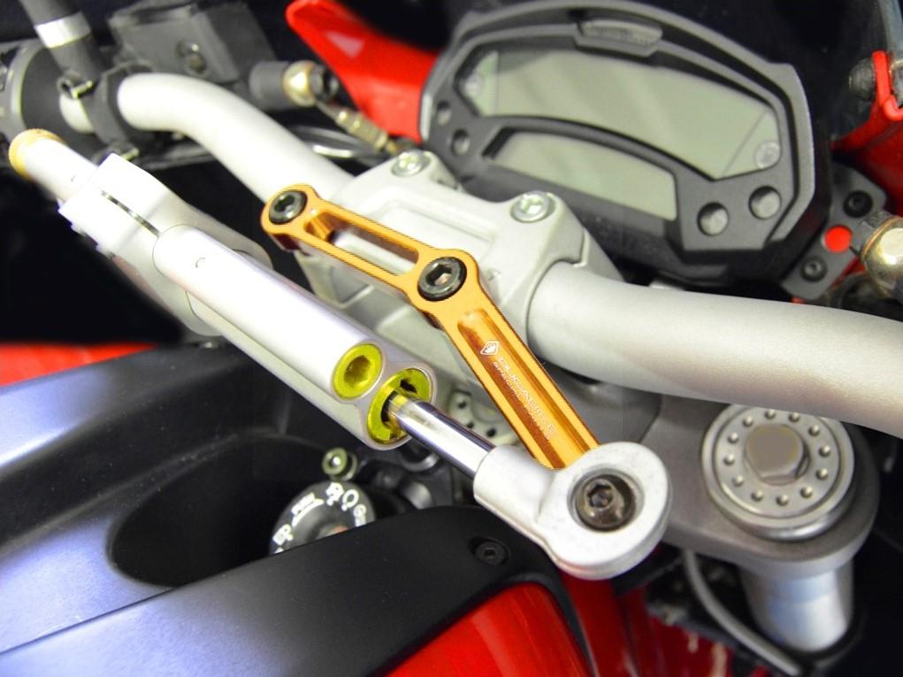 Ducati Monster 796 / 1100 Evo OHLINS Steering Damper + DBK / DUCABIKE Mounting Kit – Accessories in the Motoraider Motorcycle Aftermarket Accessories and Parts Online Shop