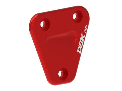 TAR01 - DBK Ducati Hypermotard 698 Mono / RVE (2024+) Engine Cover Plate – Accessories in the Motoraider Motorcycle Aftermarket Accessories and Parts Online Shop