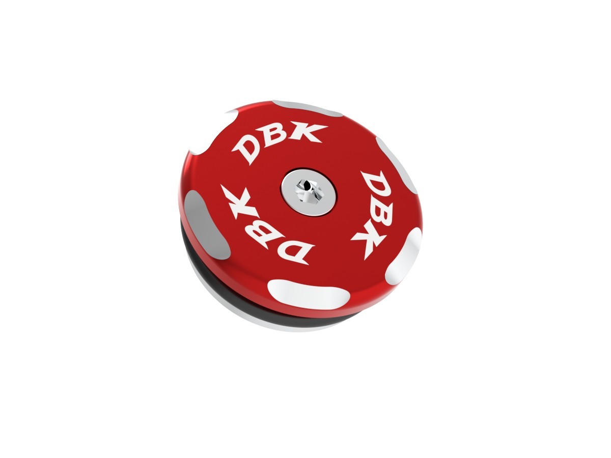 DBK DUCABIKE TRD06 Ducati Front Wheel Cap (right; bi-color) – Accessories in the Motoraider Motorcycle Aftermarket Accessories and Parts Online Shop