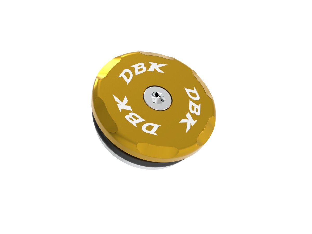 DBK DUCABIKE TRD07 Ducati Front Wheel Cap (right) – Accessories in the Motoraider Motorcycle Aftermarket Accessories and Parts Online Shop