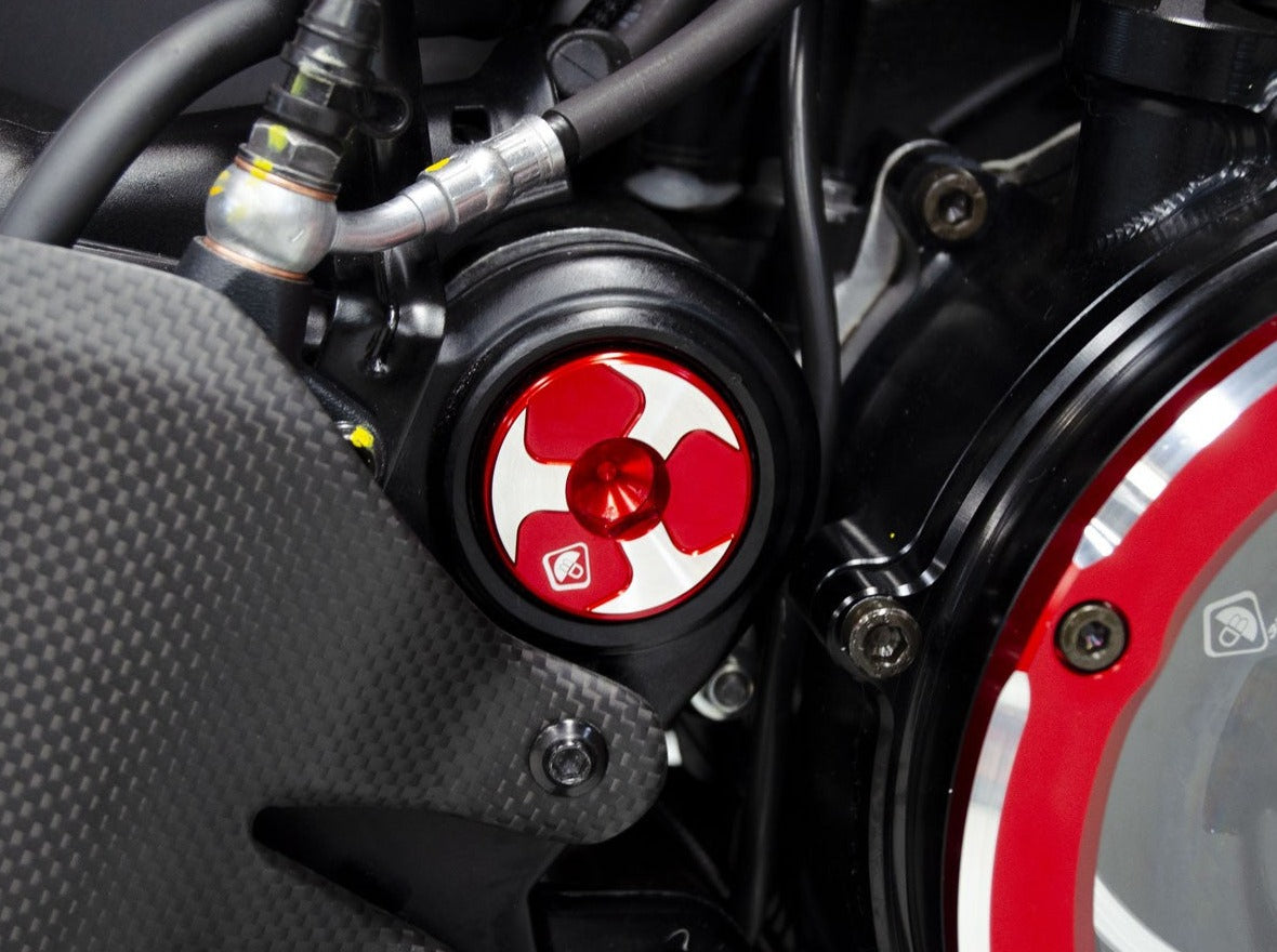 TTF08 - DBK Ducati Diavel V4 (2023+) Kit Central Frame Caps (swing arm) – Accessories in the Motoraider Motorcycle Aftermarket Accessories and Parts Online Shop