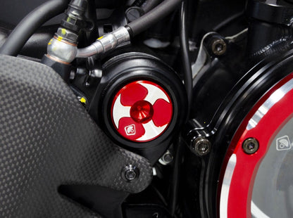 TTF08 - DBK Ducati Diavel V4 (2023+) Kit Central Frame Caps (swing arm) – Accessories in the Motoraider Motorcycle Aftermarket Accessories and Parts Online Shop